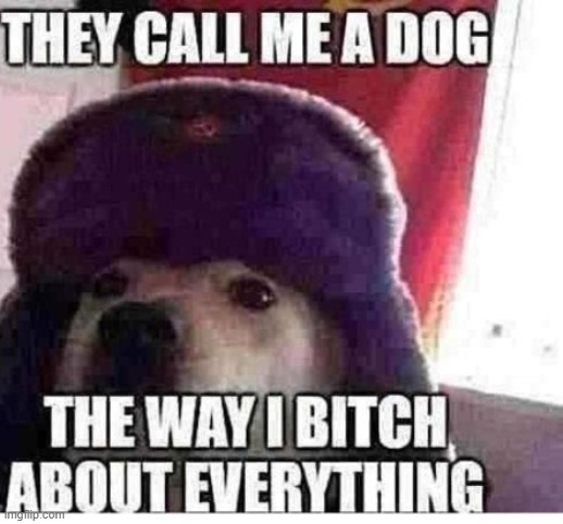 i love bitching | image tagged in they call me a dog the way i bitch about everything | made w/ Imgflip meme maker