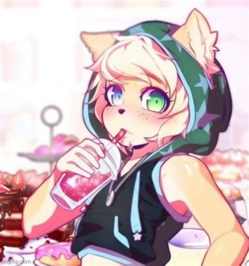 We live in a world where food comes to your house | image tagged in femboy furry | made w/ Imgflip meme maker