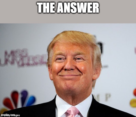 Donald trump approves | THE ANSWER | image tagged in donald trump approves | made w/ Imgflip meme maker