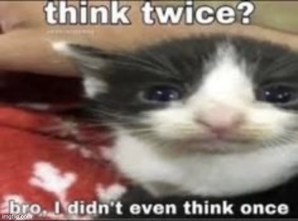 made w/ Imgflip meme maker