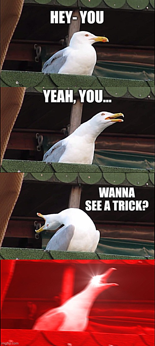 truly, this is a great trick. | HEY- YOU; YEAH, YOU... WANNA SEE A TRICK? | image tagged in memes,inhaling seagull,funny | made w/ Imgflip meme maker