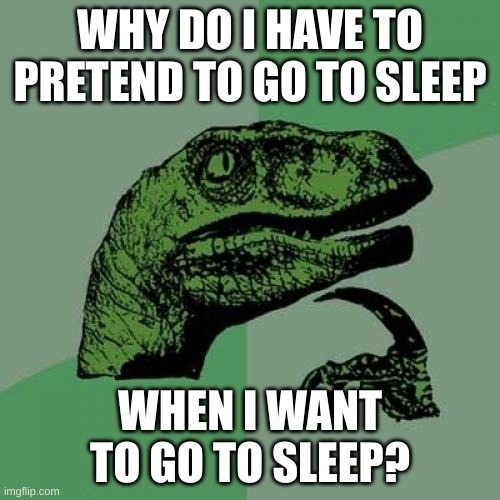 i would pay for a clever title generator | WHY DO I HAVE TO PRETEND TO GO TO SLEEP; WHEN I WANT TO GO TO SLEEP? | image tagged in memes,philosoraptor,fun,sleep,why are you reading the tags | made w/ Imgflip meme maker