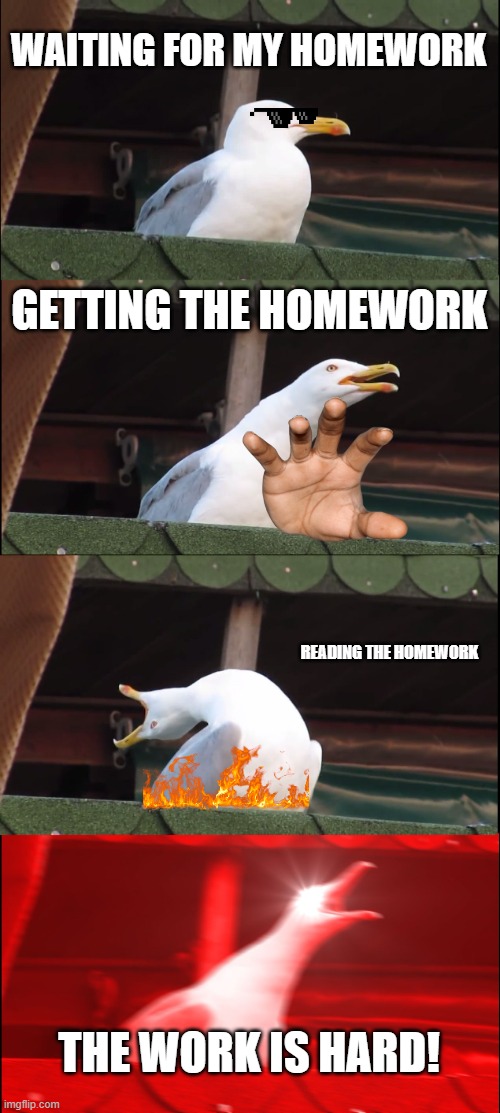 Inhaling Seagull | WAITING FOR MY HOMEWORK; GETTING THE HOMEWORK; READING THE HOMEWORK; THE WORK IS HARD! | image tagged in memes,bruh,why | made w/ Imgflip meme maker