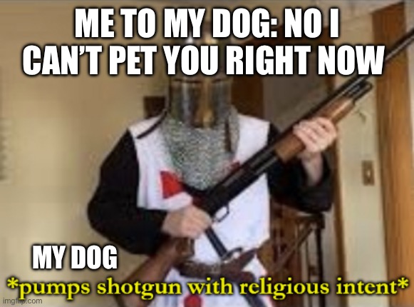 loads shotgun with religious intent | ME TO MY DOG: NO I CAN’T PET YOU RIGHT NOW; MY DOG | image tagged in loads shotgun with religious intent,dogs,pets | made w/ Imgflip meme maker