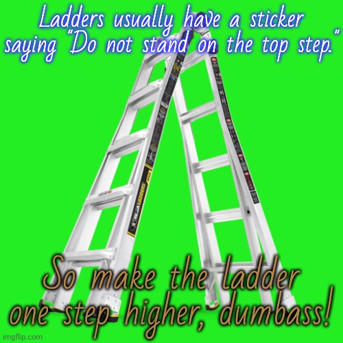 What do you mean, it doesn't work that way? | Ladders usually have a sticker saying "Do not stand on the top step."; So make the ladder one step higher, dumbass! | image tagged in ladder,honest work,height,skipping steps,spock illogical | made w/ Imgflip meme maker