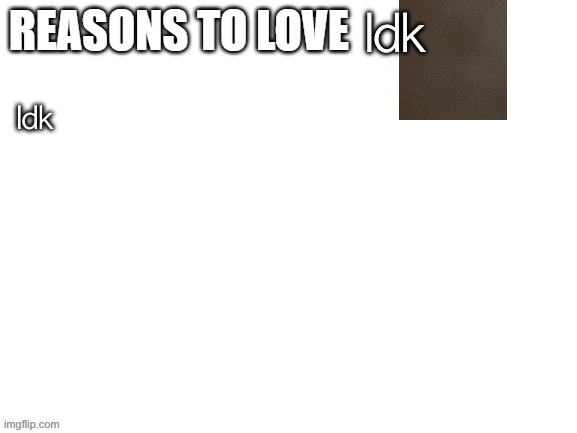 Try to guess what this is | Idk; Idk | image tagged in reasons to love | made w/ Imgflip meme maker