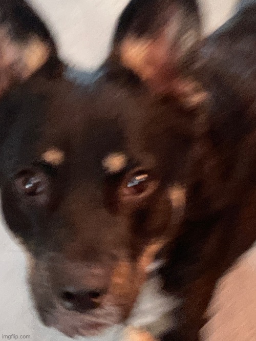 Being a hentai actress must be so weird. Imagine this: you’re in a soundproof room pleasurably screaming into an 800,000¥ microp | made w/ Imgflip meme maker