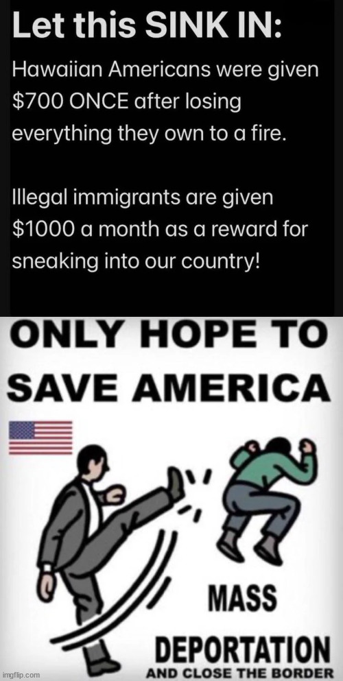 Illegal immigration needs to be fixed or we won't have a country | image tagged in illegal immigration,just say no to democrats | made w/ Imgflip meme maker