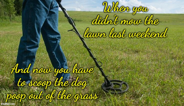 If anybody needs me I'll be in the back yard... playing Minesweeper | When you didn't mow the lawn last weekend; And now you have to scoop the dog poop out of the grass | image tagged in dad,dog poop,minesweeper | made w/ Imgflip meme maker