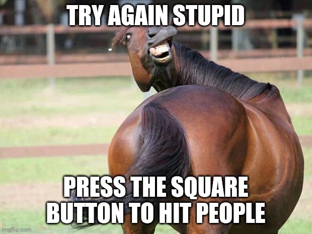 Try again Stupif | TRY AGAIN STUPID; PRESS THE SQUARE BUTTON TO HIT PEOPLE | image tagged in dumb,horse,funny,try again stupid | made w/ Imgflip meme maker