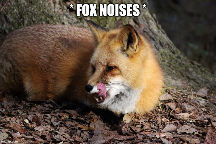 * FOX NOISES * | made w/ Imgflip meme maker