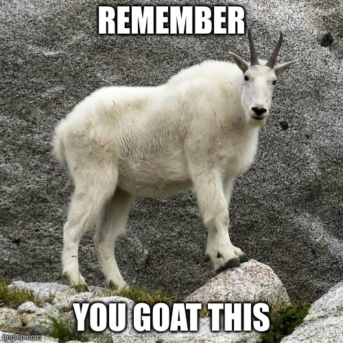 inspirational message | REMEMBER; YOU GOAT THIS | image tagged in happy | made w/ Imgflip meme maker