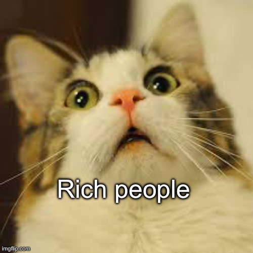scared cat | Rich people | image tagged in scared cat | made w/ Imgflip meme maker