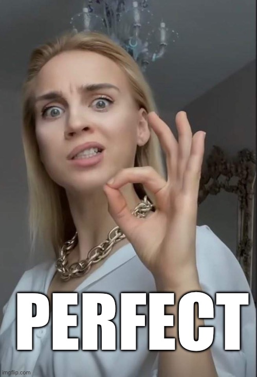 Perfect | PERFECT | image tagged in perfect,dina kalanta,perfect drink girl | made w/ Imgflip meme maker