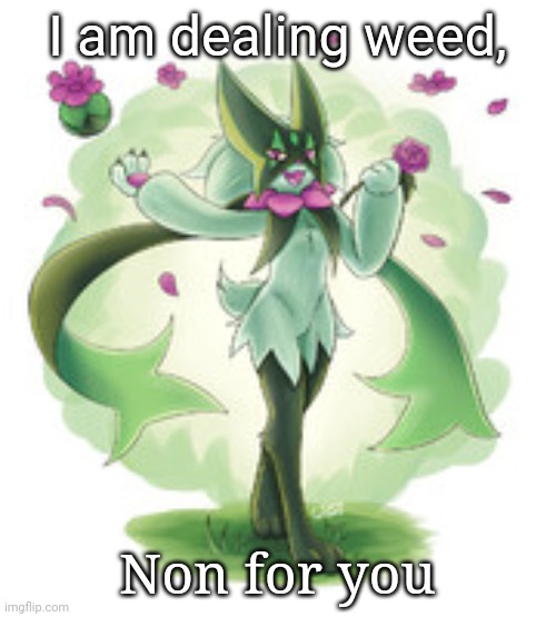 chill meowscarada | I am dealing weed, Non for you | image tagged in chill meowscarada | made w/ Imgflip meme maker