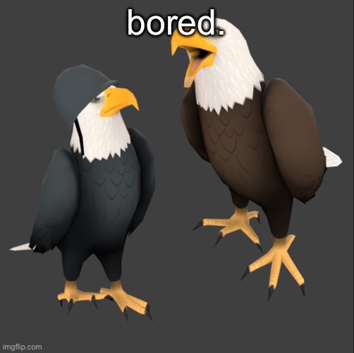 tf2 eagles | bored. | image tagged in tf2 eagles | made w/ Imgflip meme maker