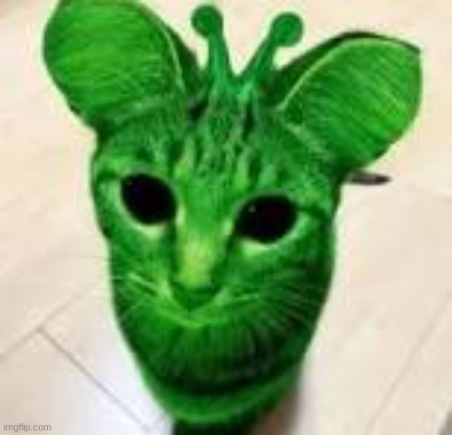 alien cat | image tagged in alien cat | made w/ Imgflip meme maker