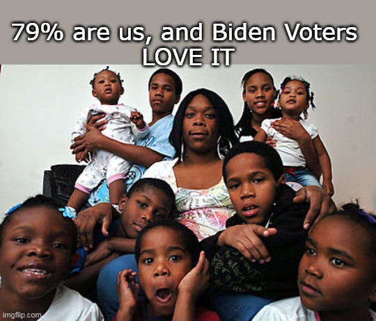 79% are us, and Biden Voters 
LOVE IT | made w/ Imgflip meme maker