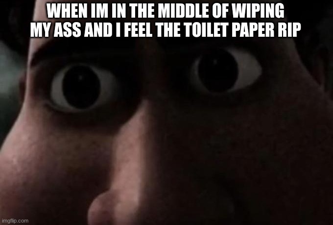 Titan stare | WHEN IM IN THE MIDDLE OF WIPING MY ASS AND I FEEL THE TOILET PAPER RIP | image tagged in titan stare | made w/ Imgflip meme maker