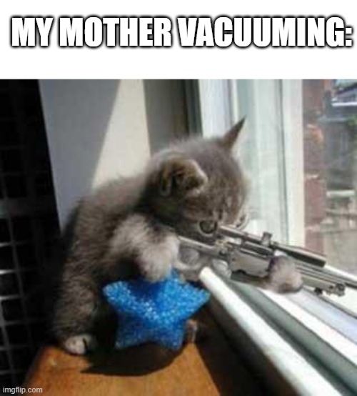 CatSniper | MY MOTHER VACUUMING: | image tagged in catsniper | made w/ Imgflip meme maker