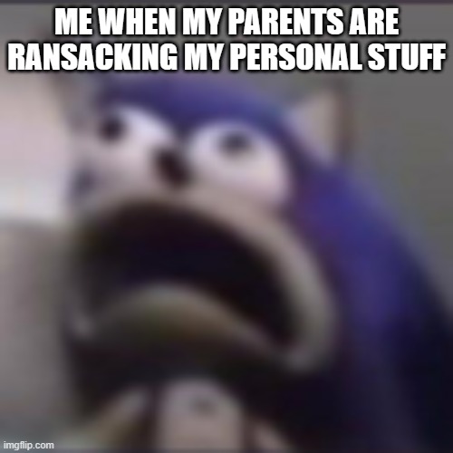 PRIVACY PLEASE | ME WHEN MY PARENTS ARE RANSACKING MY PERSONAL STUFF | image tagged in distress,memes | made w/ Imgflip meme maker