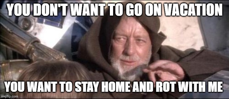 These Aren't The Droids You Were Looking For | YOU DON'T WANT TO GO ON VACATION; YOU WANT TO STAY HOME AND ROT WITH ME | image tagged in memes,these aren't the droids you were looking for | made w/ Imgflip meme maker