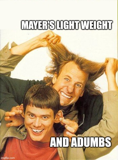 Light foot and adumbs | MAYER'S LIGHT WEIGHT; AND ADUMBS | image tagged in dumb and dumber | made w/ Imgflip meme maker