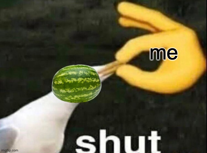 SHUT | me | image tagged in shut | made w/ Imgflip meme maker