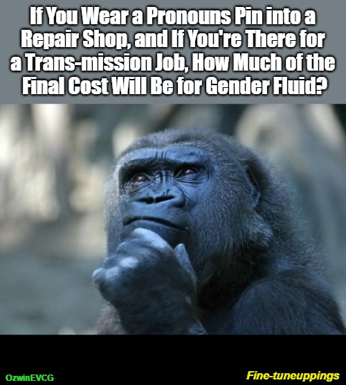 Fine-tuneuppings [NV] | If You Wear a Pronouns Pin into a 

Repair Shop, and If You're There for 

a Trans-mission Job, How Much of the 

Final Cost Will Be for Gender Fluid? Fine-tuneuppings; OzwinEVCG | image tagged in silly,deep thoughts,fun puns,auto repair,clown world,2020s | made w/ Imgflip meme maker