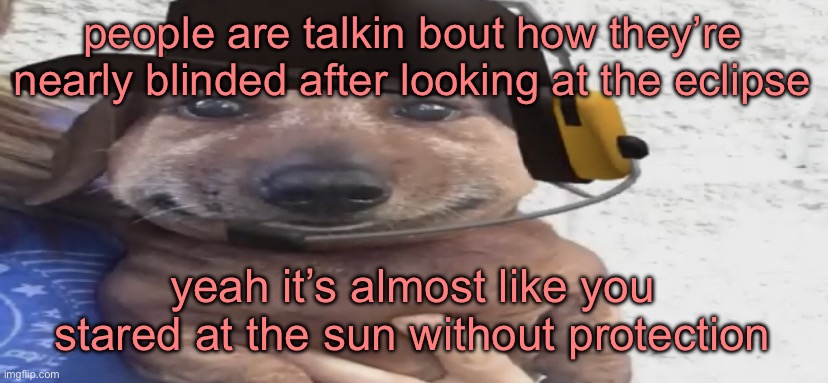 chucklenuts | people are talkin bout how they’re nearly blinded after looking at the eclipse; yeah it’s almost like you stared at the sun without protection | image tagged in chucklenuts | made w/ Imgflip meme maker