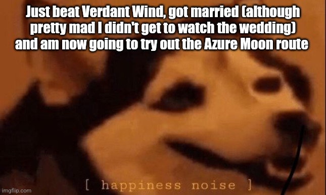 EEEEEE | Just beat Verdant Wind, got married (although pretty mad I didn't get to watch the wedding) and am now going to try out the Azure Moon route | image tagged in happiness noise | made w/ Imgflip meme maker