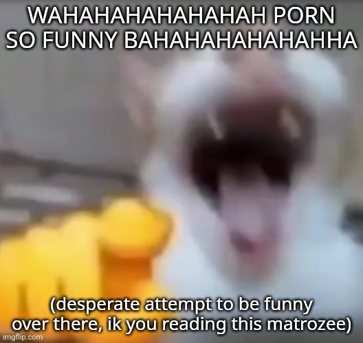 Cat pointing and laughing | WAHAHAHAHAHAHAH PORN SO FUNNY BAHAHAHAHAHAHHA; (desperate attempt to be funny over there, ik you reading this matrozee) | image tagged in cat pointing and laughing | made w/ Imgflip meme maker
