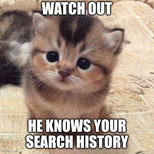 Beware | WATCH OUT; HE KNOWS YOUR SEARCH HISTORY | image tagged in funny,memes,cute cat | made w/ Imgflip meme maker