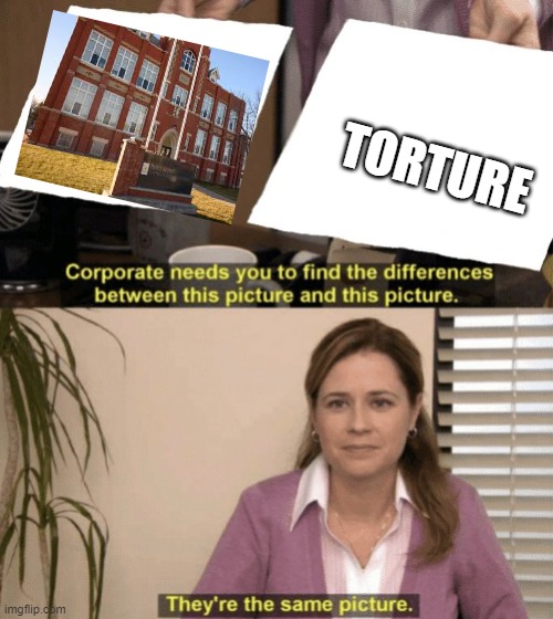 Corporate needs you to find the differences | TORTURE | image tagged in corporate needs you to find the differences | made w/ Imgflip meme maker