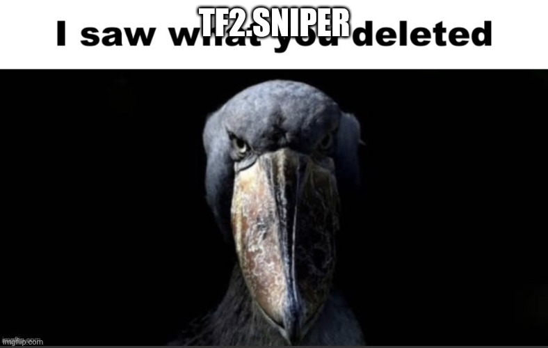 I saw what you deleted | TF2.SNIPER | image tagged in i saw what you deleted | made w/ Imgflip meme maker