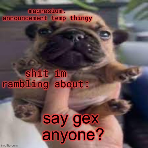 ??? | say gex
 anyone? | image tagged in pug temp | made w/ Imgflip meme maker