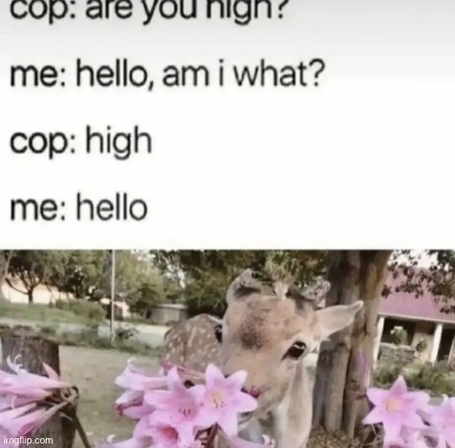 this happened 5 days yesterday to me | made w/ Imgflip meme maker