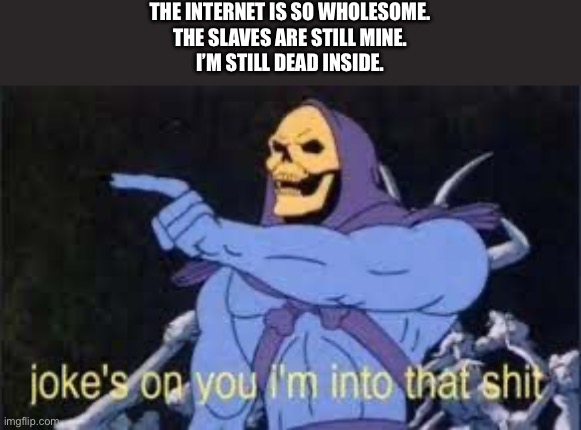Because I’m dead inside | THE INTERNET IS SO WHOLESOME.
THE SLAVES ARE STILL MINE.
I’M STILL DEAD INSIDE. | image tagged in jokes on you im into that shit,slaves,wholesome | made w/ Imgflip meme maker