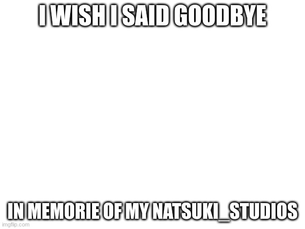 good bye | I WISH I SAID GOODBYE; IN MEMORIE OF MY NATSUKI_STUDIOS | made w/ Imgflip meme maker