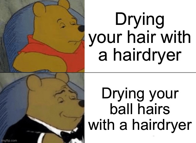 Honestly it’s less of a mess to do so | Drying your hair with a hairdryer; Drying your ball hairs with a hairdryer | image tagged in memes,tuxedo winnie the pooh,hairdresser | made w/ Imgflip meme maker