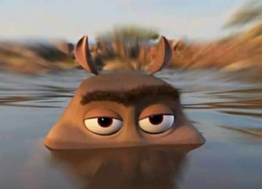 Hippo in the water Blank Meme Template
