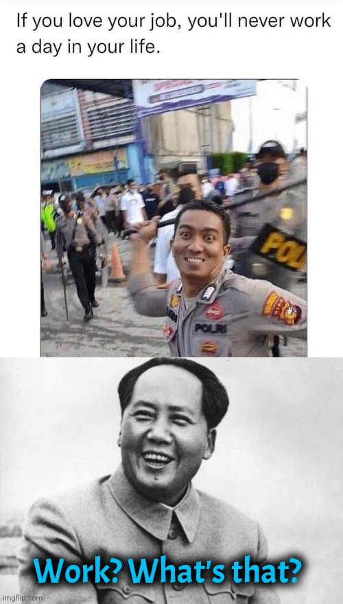 Comrade Mao lived life to fullest | Work? What's that? | image tagged in the most interesting mao in the world,mao zedong,communism | made w/ Imgflip meme maker