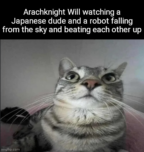 Arachknight Will watching a Japanese dude and a robot falling from the sky and beating each other up | made w/ Imgflip meme maker