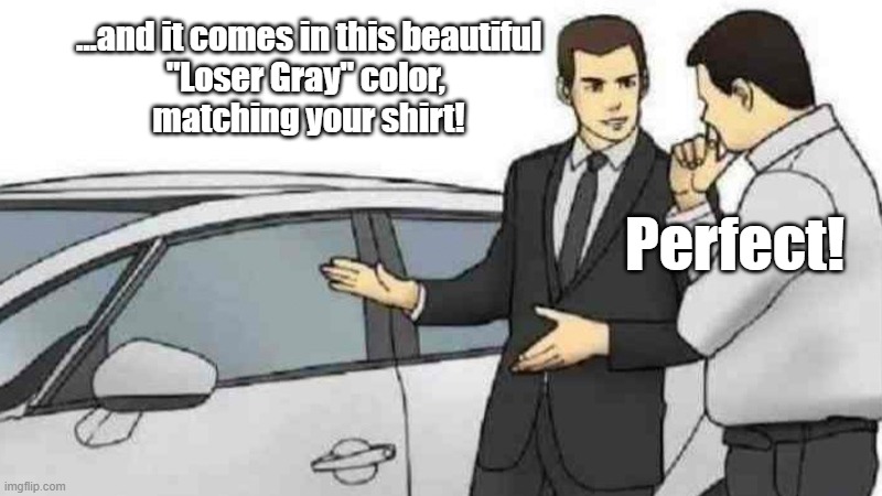 Car Sales at its best | ...and it comes in this beautiful
"Loser Gray" color, 
matching your shirt! Perfect! | image tagged in memes,car salesman slaps roof of car | made w/ Imgflip meme maker