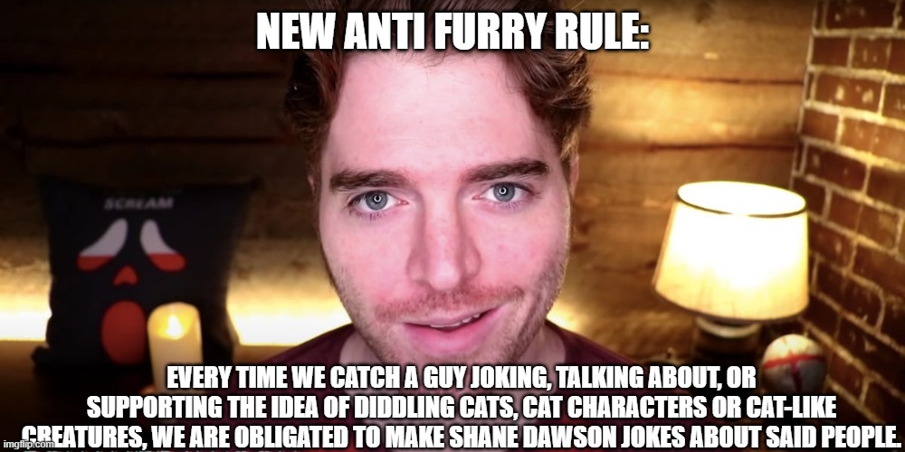 New anti furry rule: | NEW ANTI FURRY RULE:; EVERY TIME WE CATCH A GUY JOKING, TALKING ABOUT, OR SUPPORTING THE IDEA OF DIDDLING CATS, CAT CHARACTERS OR CAT-LIKE CREATURES, WE ARE OBLIGATED TO MAKE SHANE DAWSON JOKES ABOUT SAID PEOPLE. | image tagged in shane dawson smirk,anti furry,funny,lol | made w/ Imgflip meme maker