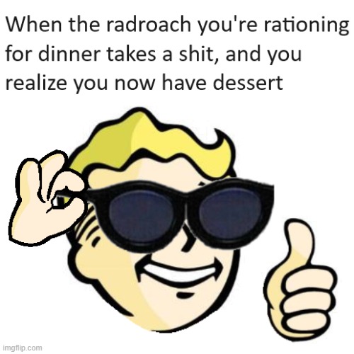 I've been playing a lot of Fallout 76 recently. | image tagged in fallout,picardia | made w/ Imgflip meme maker
