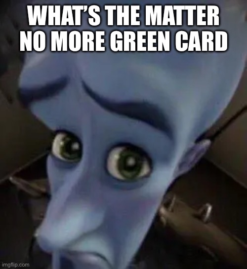 I<3rascim | WHAT’S THE MATTER NO MORE GREEN CARD | image tagged in megamind no b | made w/ Imgflip meme maker