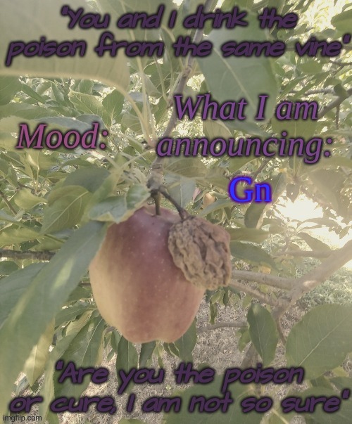 @Poison's other announcement temp | Gn | image tagged in poison's other announcement temp | made w/ Imgflip meme maker