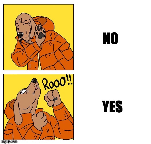 no yes | NO; YES | image tagged in drake dog | made w/ Imgflip meme maker