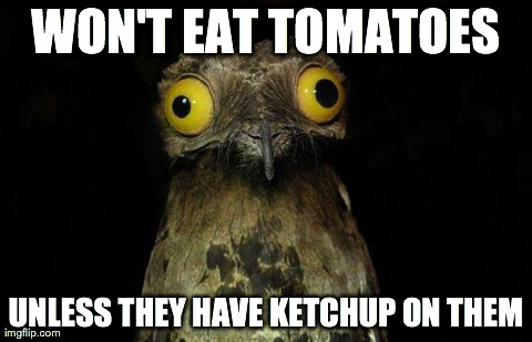 Weird Stuff I Do Potoo | WON'T EAT TOMATOES UNLESS THEY HAVE KETCHUP ON THEM | image tagged in memes,weird stuff i do potoo,AdviceAnimals | made w/ Imgflip meme maker